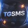 tgsmsnet